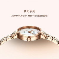 天王新品星辰系列时尚钢带女表珍珠母贝表盘优雅女士手表31275