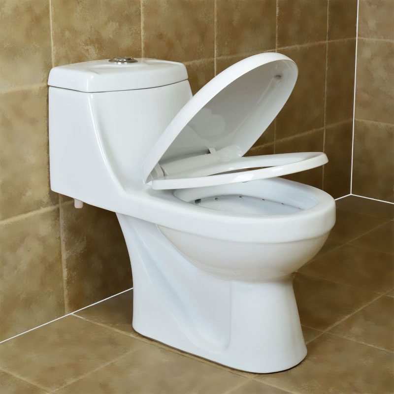 帝宏卫浴家用陶瓷马桶直冲式大管道静音节水智洁釉座厕坐便器