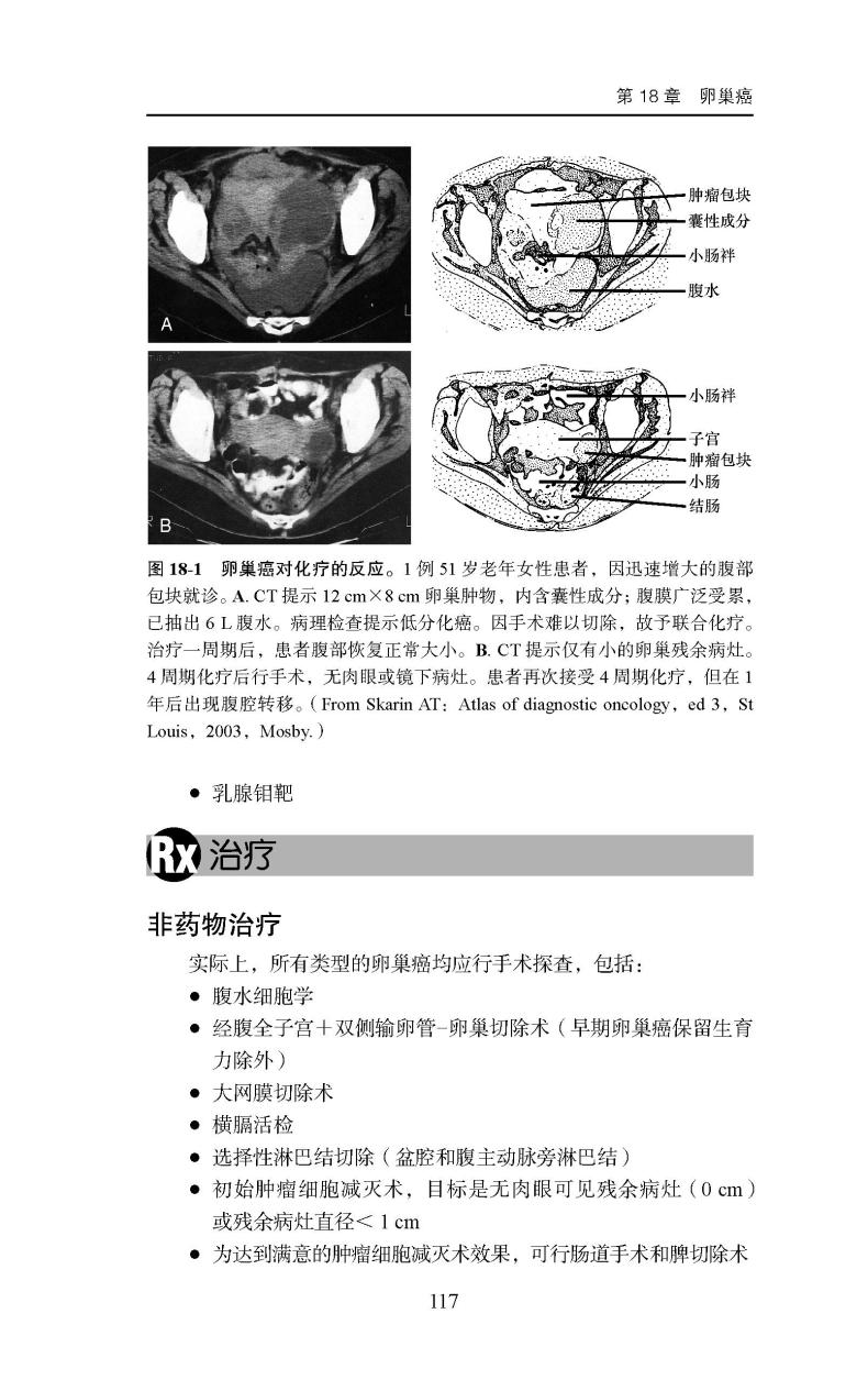 Ferri 临床诊疗指南系列丛书Ferri临床诊疗指南——妇产科疾病诊疗速查手册