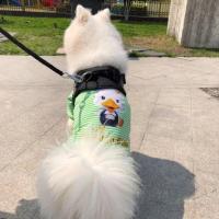 大狗衣服春夏薄款金毛萨摩耶中大型犬四脚衣宠物条纹打底衫不粘毛 绿色条纹四脚无帽 3XL 胸围60背长45