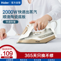 海尔(Haier)电熨斗烫斗家用小型水蒸汽手持烫衣服平烫干湿两用熨烫机HY-Y2028G