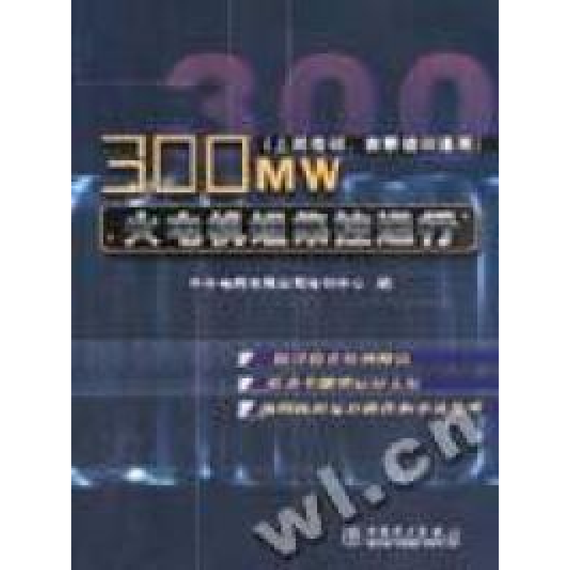 正版新书】300MW火电机组集控运行(上岗培训·在职培训应用)华中电