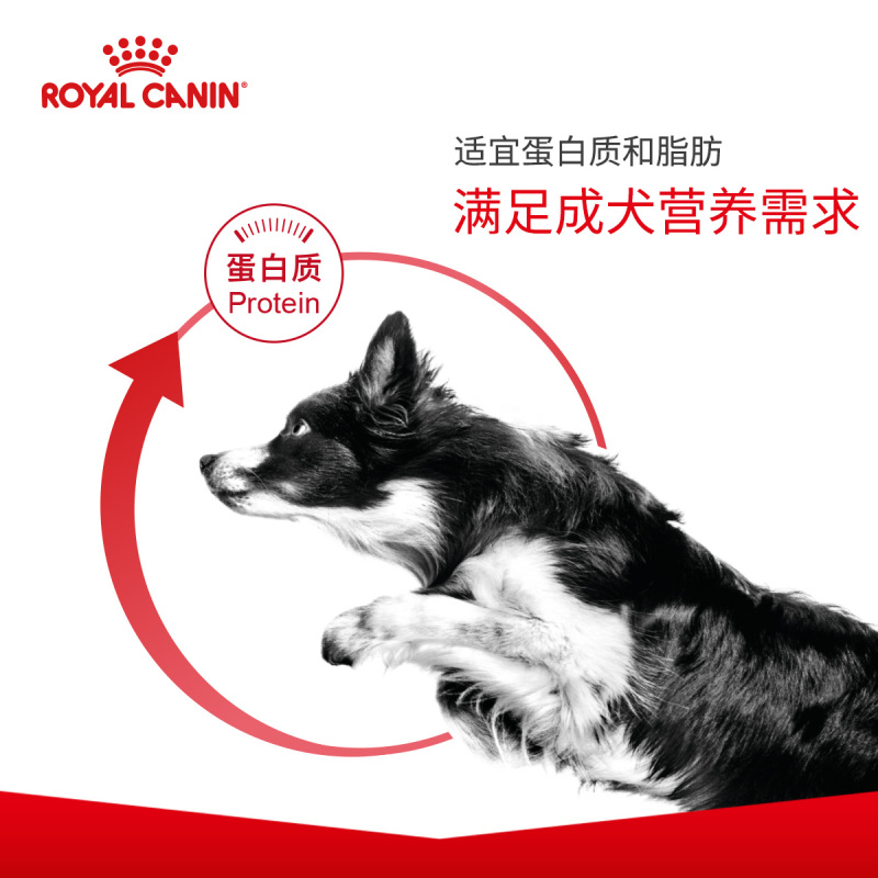ROYAL CANIN 皇家狗粮 CC优选成犬狗粮 全价粮 3kg 全犬种通用成犬粮 均衡营养助力健康成长每一步