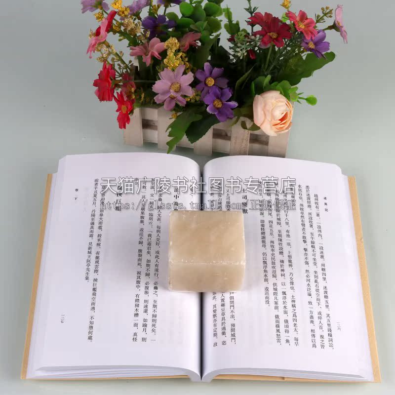 [正版] 述异记 鹂砭轩质言 稀见笔记丛刊 戴连芬著 中国古典文学 清代笔记小说作品集 社会面貌史类古籍整理书籍 文物出高清大图
