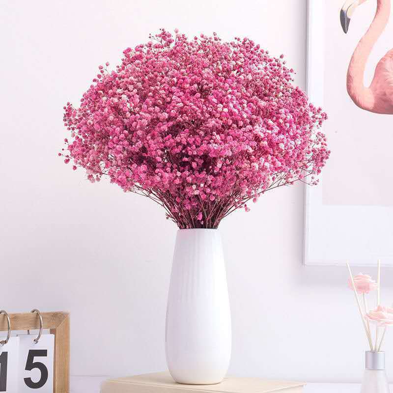 云南满天星干花花束大束真花勿忘我客厅卧室家居装饰|粉色满天星[女生