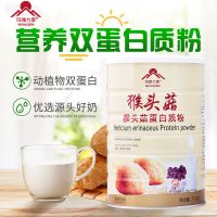 [养胃长肉]猴头菇蛋白质粉长肉粉养胃粉健身增肌肉粉长肉好产品 [新包装]猴头菇蛋白质粉500克