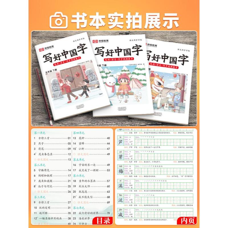 不偏科2本❤️:语文+英语 四年级上 [正版]抖音同款写好中国字同步练字帖课课练正楷临摹儿童硬笔楷书一年级二年级三四上下