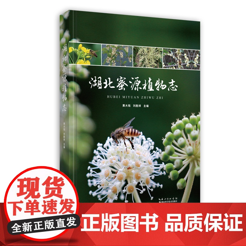 正版 湖北蜜源植物志 作者 黄大钱 刘胜祥高清大图