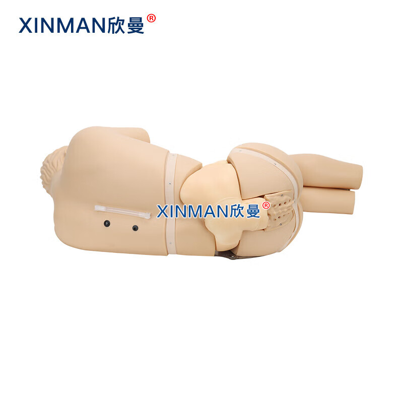 欣曼科教 腰椎穿刺模拟人 教学用腰椎穿刺训练模型XM-YC02高清大图