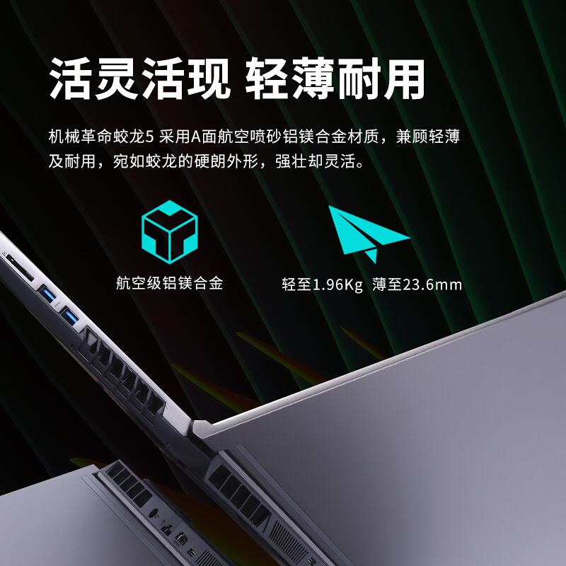 机械革命 蛟龙5游戏本锐龙八核 RTX306015.6英寸游戏本笔记本电脑 (R7-5800H/RTX3060/16G+512SSD/165HZ-2K屏)