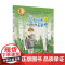 小男孩约根 总有一天会长大 夏洛书屋 插图注音版 [挪威]托摩脱·蒿根 著 百万级销量 儿童经典文学 安徒生奖 上海译文