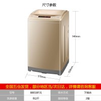 Haier海尔洗衣机8公斤B8018F31 防缠绕家用智能非变频节能静音小型全自动波轮洗衣机（金色）