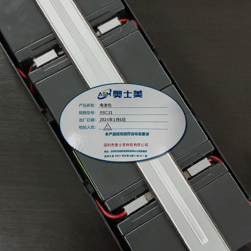 奥士美 电池包 RBC31 台高清大图