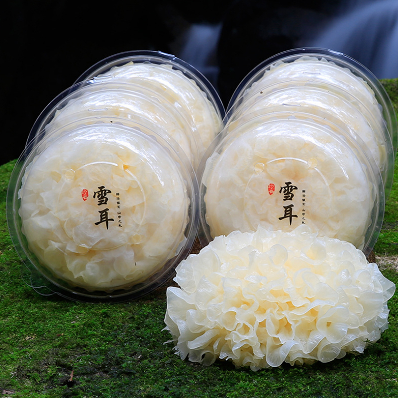 晋唐福建古田新鲜白银耳6朵(约120g/朵)活鲜雪耳新鲜菌菇蔬菜 单位:箱