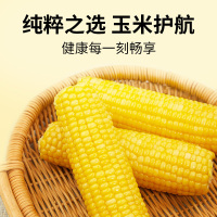 十月稻田黄糯玉米 3.52斤(220g*8根) 东北玉米棒甜糯低脂新鲜真空装早餐苞米
