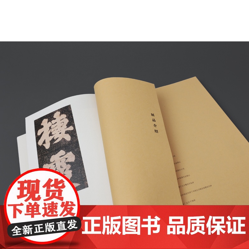 南朝气韵:六朝石刻碑帖讲演录 展现六朝石刻珍稀拓本,详解背后的文学、史学与考古学研究 凤凰出版社店 正版高清大图