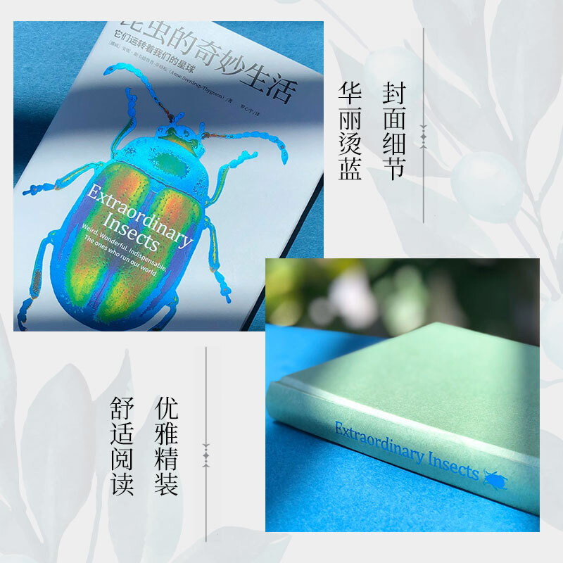 [醉染正版]昆虫的奇妙生活精装安妮斯韦德鲁普蒂格松博物君张辰亮推荐适合中小学生科普百科书籍正版高清大图