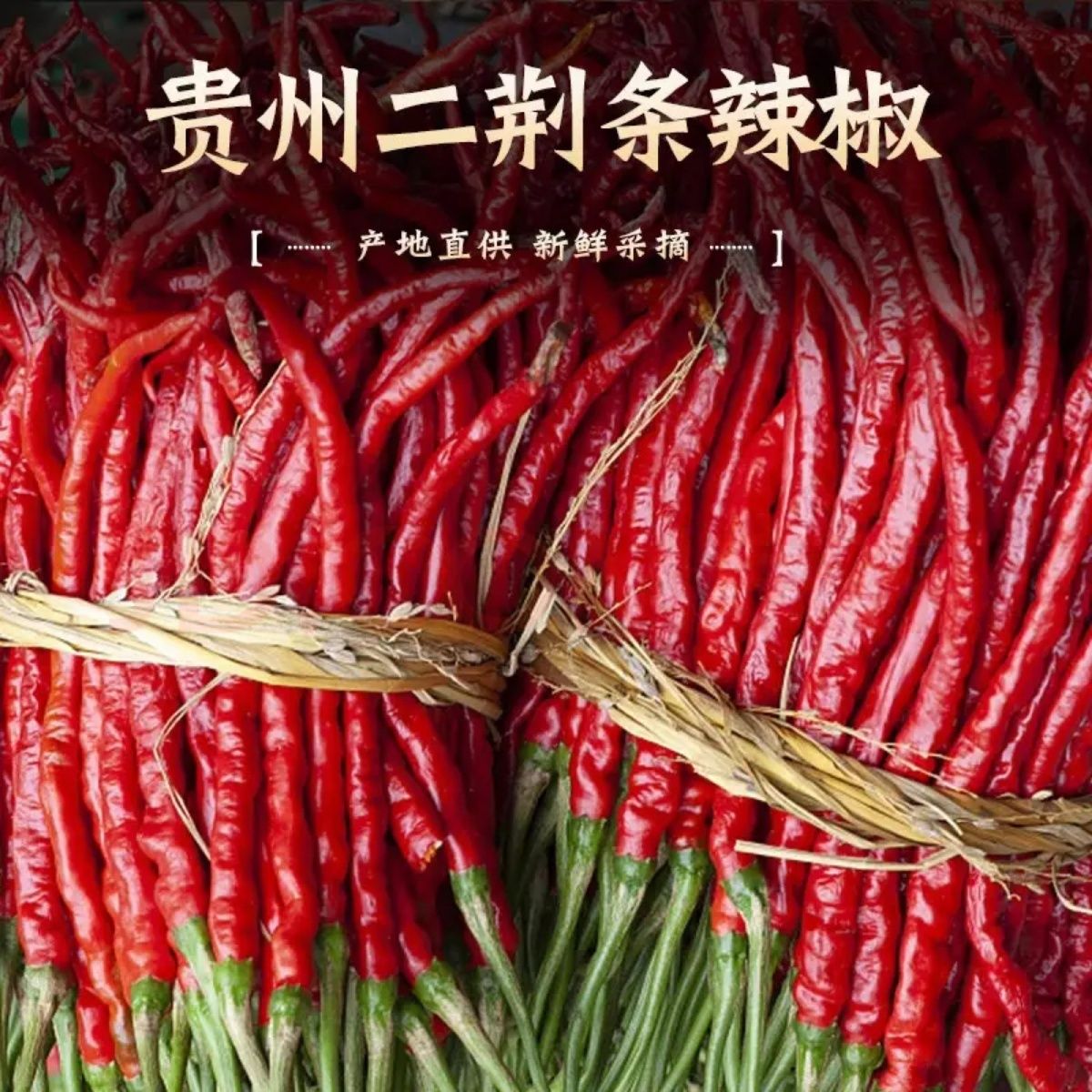 洗象堂干辣椒特椒香辣红朝天椒微辣搭配肉桂椒辣椒段高清大图