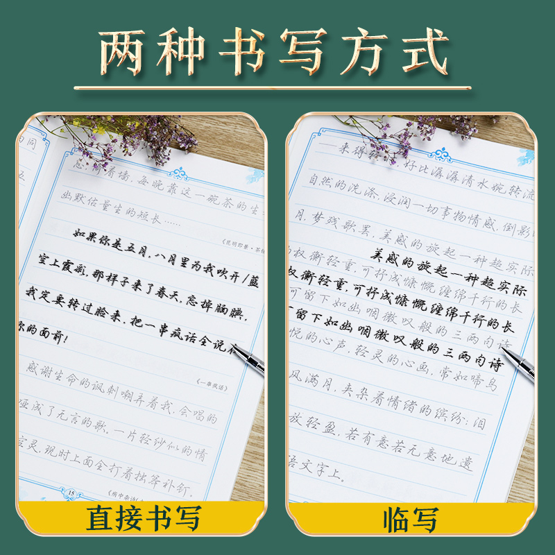 [正版]墨点字帖荆霄鹏行楷字帖练字成年男女生字体漂亮高中生大学生练字帖成人硬笔书法练字本林徽因诗集诗词钢笔字帖练字描红