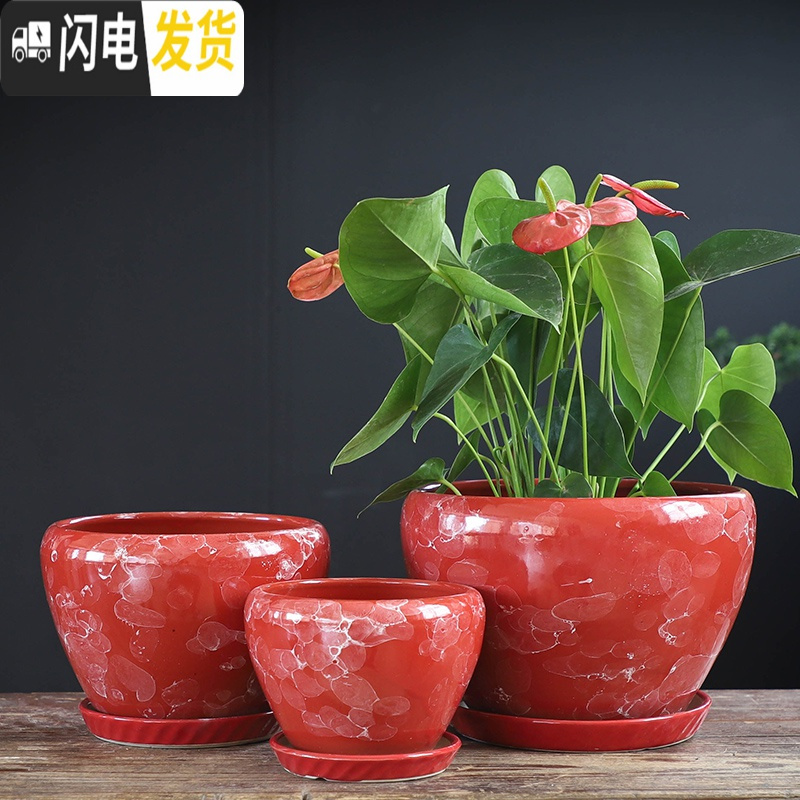 三维工匠北欧简约花盆陶瓷大号带托盘蝴蝶兰创意兰花绿萝绿植多肉花盆 S1CZ-孔雀蓝-单个 特大花盆容器