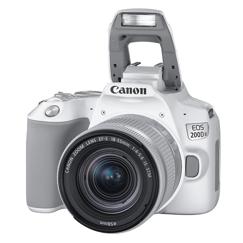 佳能(CANON)200d2代 200D II(18-55mm) 入门级单反相机200d2代vlog家用迷你照相机 白色高清大图