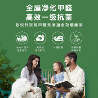 多乐士(Dulux) 致悦竹炭抗甲醛无添加全效内墙乳胶漆 墙面漆油漆涂料 A740 5L哑光白色