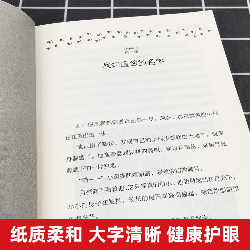 一只猫的使命+当怪物来敲门 [正版]一只猫的使命 长青藤国际大奖小说 7-9-10-12-14岁 外国儿童文学动物小说故高清大图