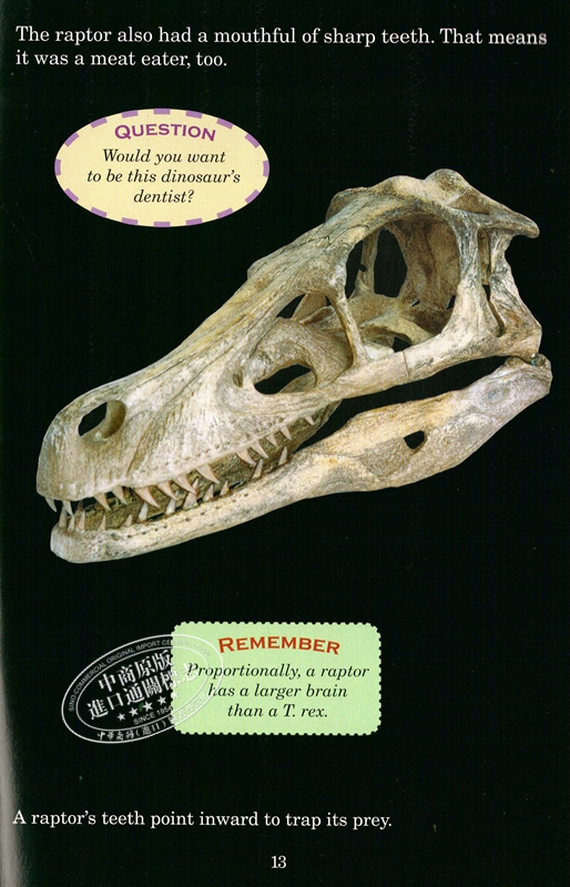 [正版]中商原版谁会赢?霸王龙与迅猛龙 英文原版 Tyrannosaurus Rex Vs. Velociraptor高清大图