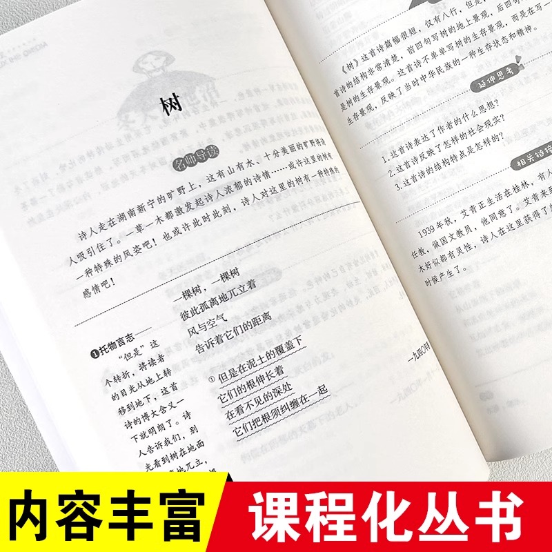 艾青诗选集 [正版]艾青诗选集原著 九年级上册课外阅读书籍 适合初中生看的课外书必读初中初三9上名著诗集四年级小学生现代高清大图
