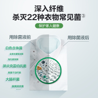 滴露多效衣物除菌液甄选松木1L非消毒液洗衣杀菌除螨抑菌防霉