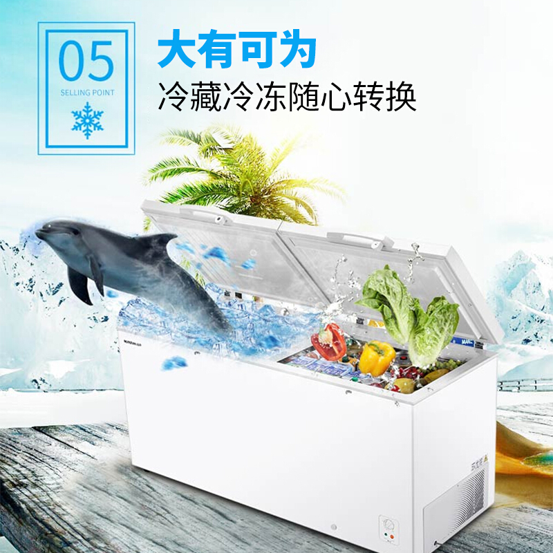 容声冷柜BD/BC-520M/AHP高清大图