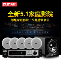 先科（SAST） D51 吸顶音响 家庭影院5.1音响套装 客厅电视吊顶音响 天花喇叭套装