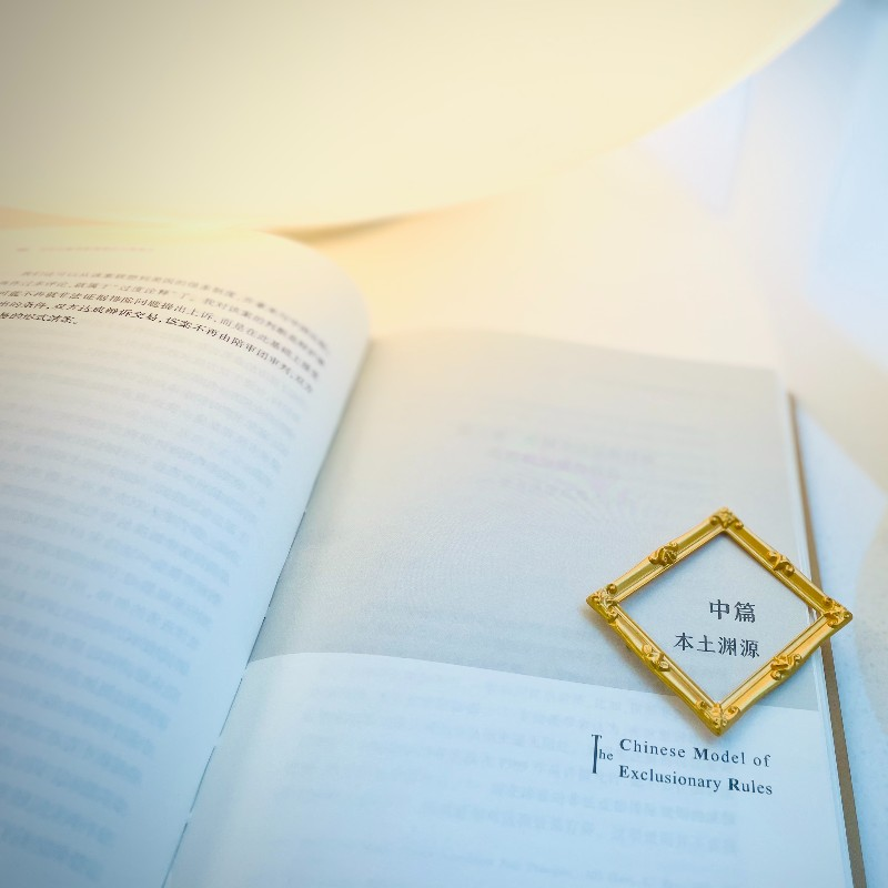 醉染图书非法据排除规则的中国范式9787301327920高清大图