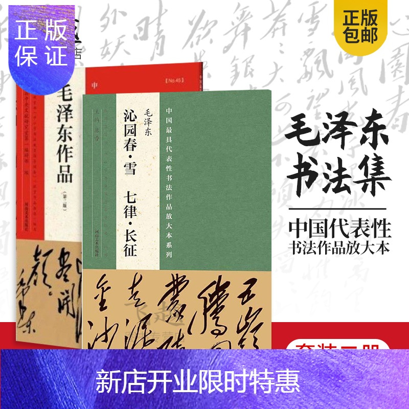 惠典正版毛泽东书法中国代表性书法作品放大本 毛泽东 沁园春 雪 毛泽东诗词书法鉴赏毛泽东作品毛笔书iu3560 无著 摘要书评在线阅读 苏宁易购图书