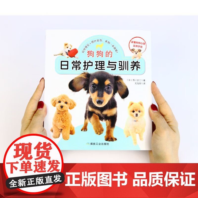 再见了 我的崽崽 当心爱的宠物离世 要如何与它们好好告别 永远的爱犬 爱犬长寿指南 喵星语解密手册 狗狗的日常护理与驯养高清大图