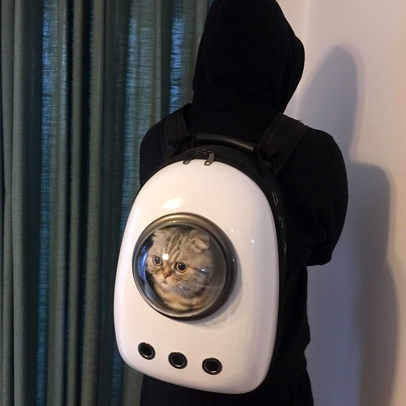 特价粉色款 猫包外出太空舱便携猫背包大容量透气猫咪用品肩背书包宠物双肩包