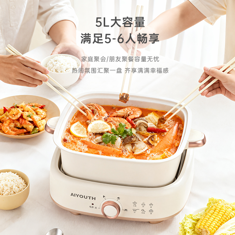 艾青春(AIYOUth)5L多功能分体电火锅AI-HG666高清大图