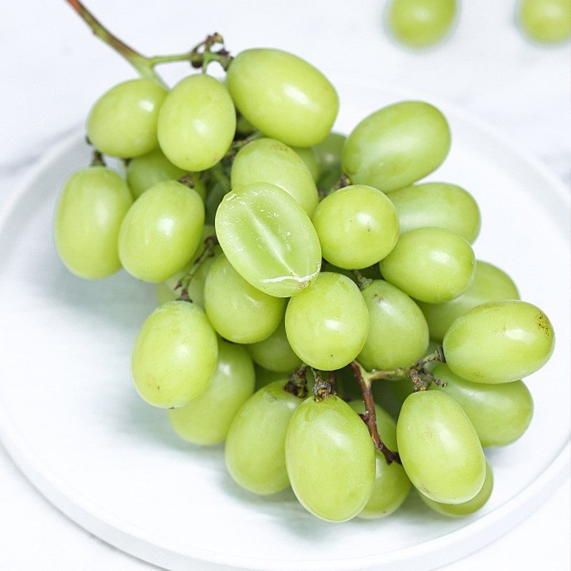 一贤生鲜澳洲无籽青提3斤进口葡萄青提子应当季脆甜新鲜水果孕妇整箱