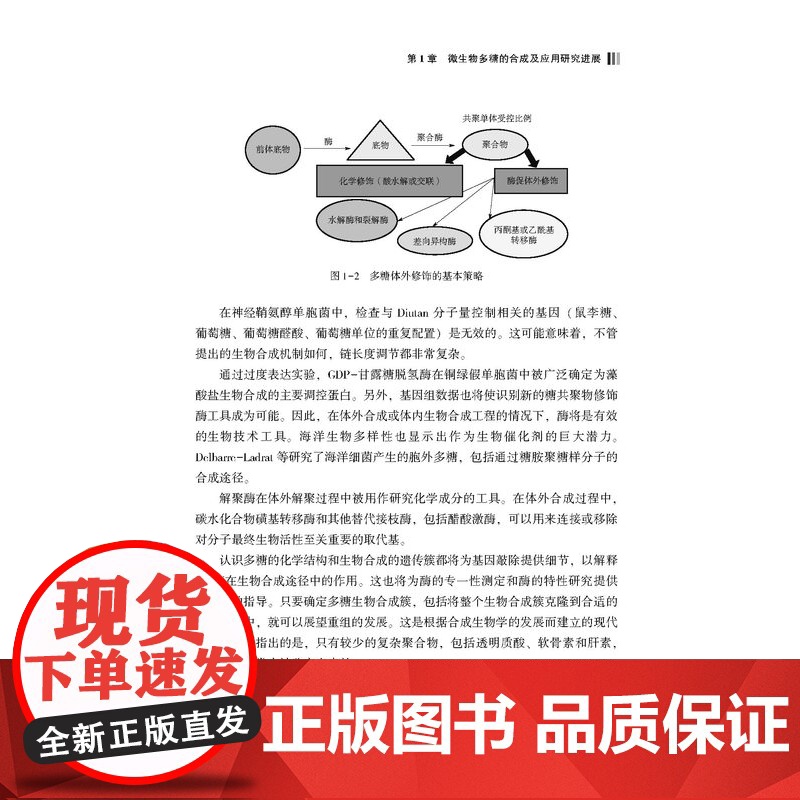 微生物多糖的发酵、分离及应用本书可作为食品、微生物、多糖等行业研究人员的参考。高清大图