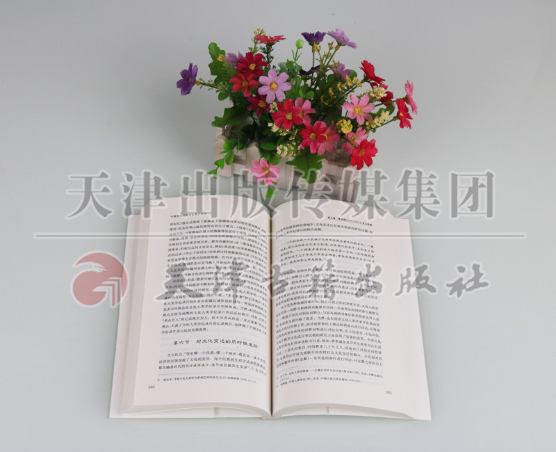 [正版] 国家出版基金项目 中国文化人类学纪录片史论 天津社会科学院出版社高清大图
