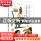 正版 穿越7亿年的人类演化史.下 编者:小象科学编委会|责编:李秀