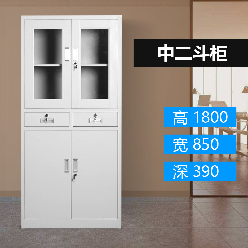 汉诺鑫威钢制文件柜资料柜档案柜财务凭证柜带锁储物柜铁皮柜书柜中二斗文件柜高清大图