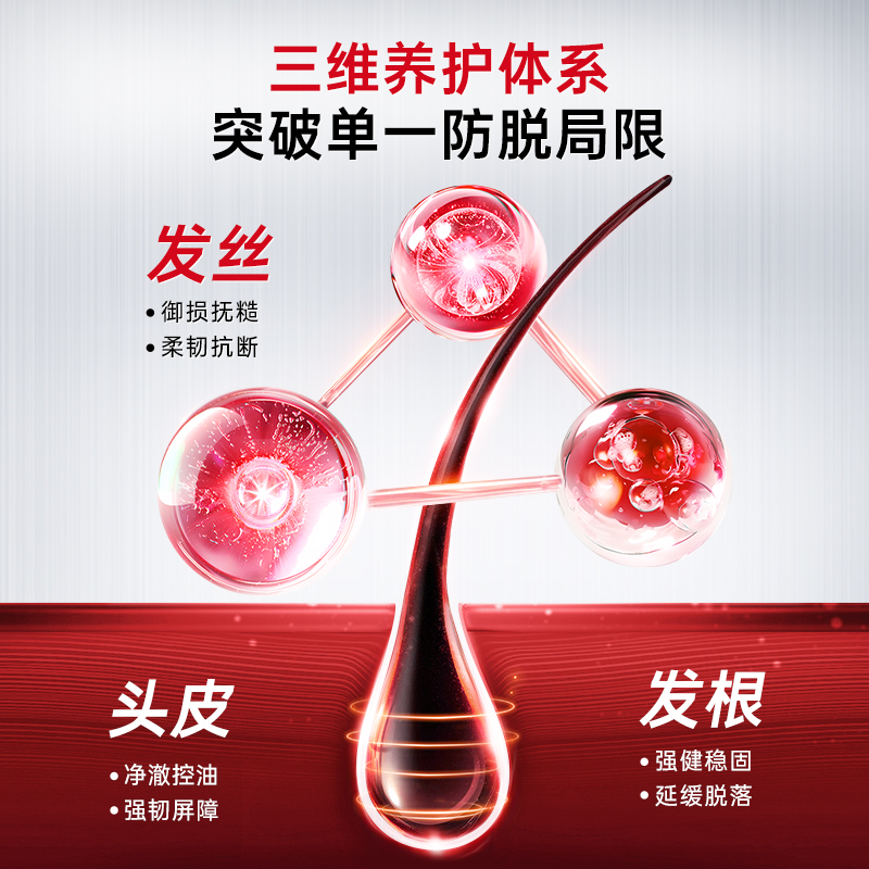 卡蓓诺强韧防脱洗发水 350mL 日本进口高清大图