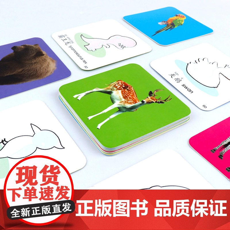 动物世界 阳光宝贝撕不烂涂鸦认知卡水画本认物卡儿童画画教材涂色本0-2-3-4岁宝宝早教卡片启蒙书籍婴幼儿图案早教卡片幼高清大图