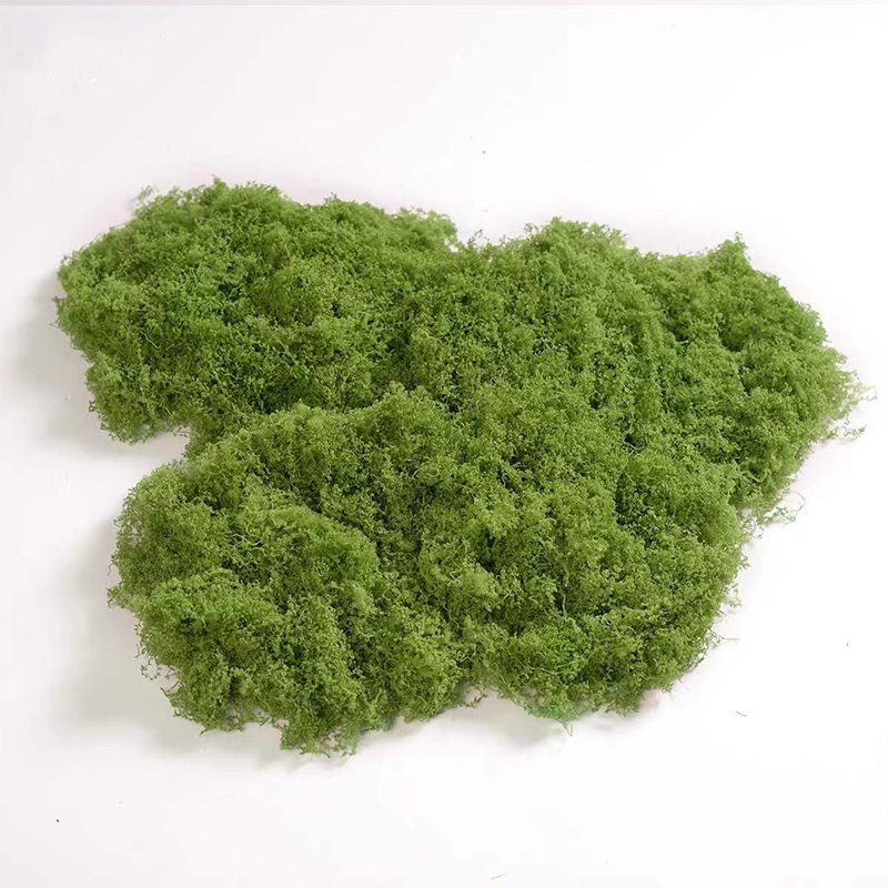 仿真苔藓造景假青苔植物装饰人造仿生草坪 100份起售高清大图