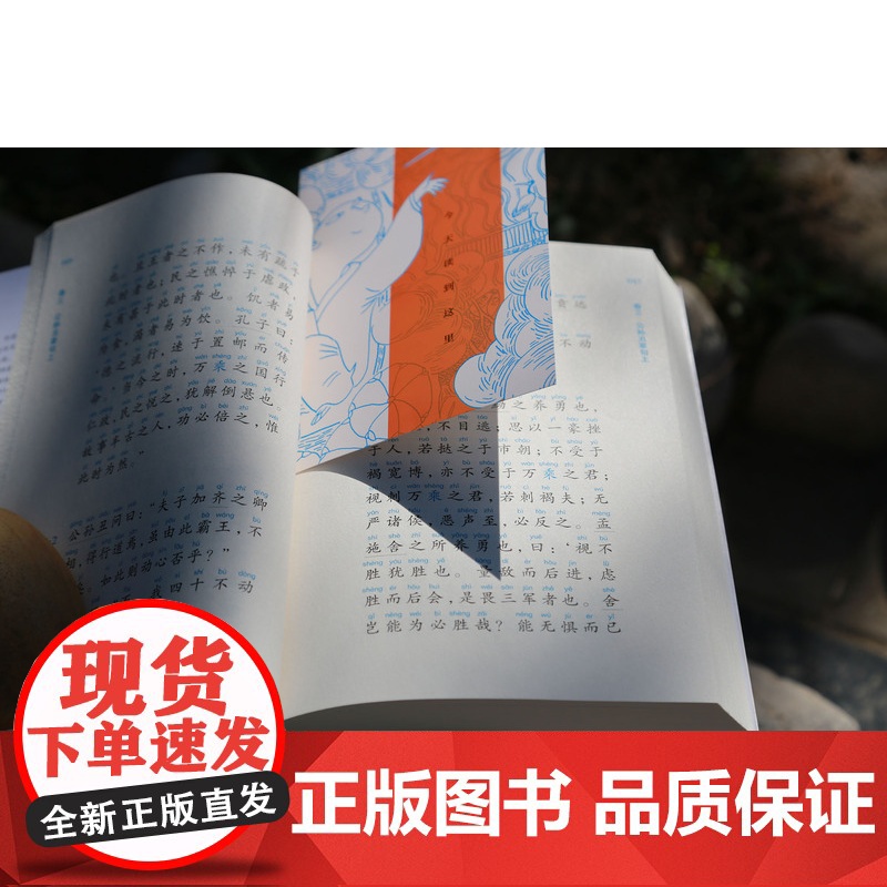 孟子正音诵读本鲍鹏山衣抚生编校中国青年出版社中华传统文化经典诵读系列国学经典高清大图