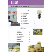 正版 教科版课本 小学科学四年级下册教科书 4年级科学下册 教育科学出版社 F新课标科学4下