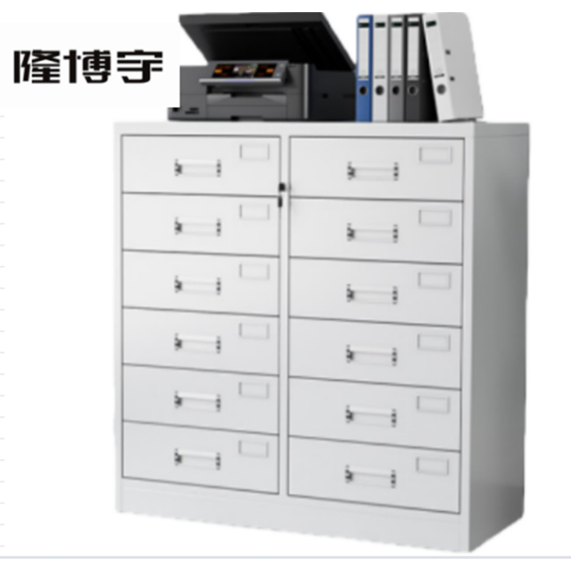 隆博宇 十二斗文件柜/1020*850*390mm/一个起订/20天发货
