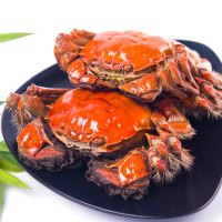 珍鲜汇 大闸蟹实物礼盒3.0-3.5两/只 8只装 鲜活螃蟹实物