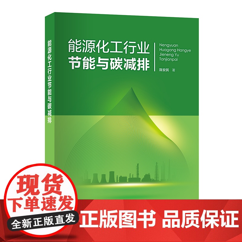 能源化工行业节能与碳减排 陈安民 著 中国石化出版社高清大图